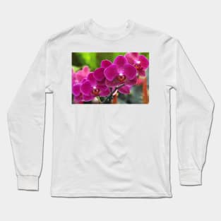 Phalaenopsis 'Red Jewel' (B535/1275) Long Sleeve T-Shirt